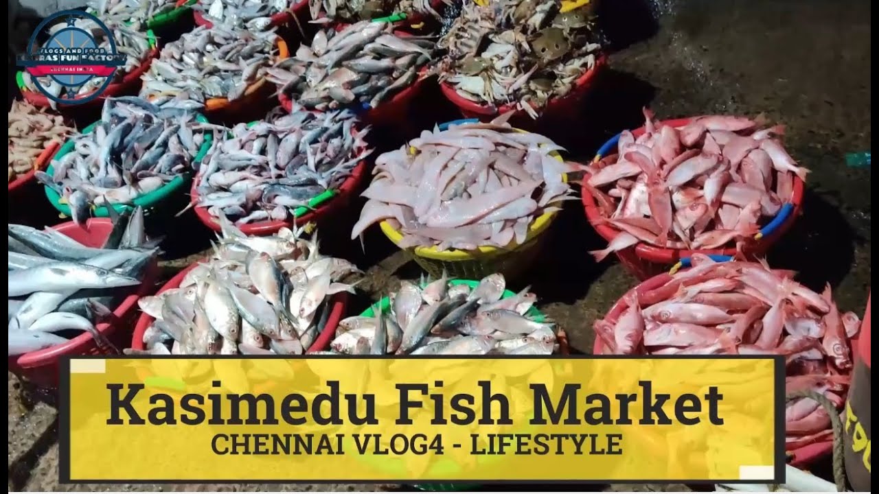 Kasimedu Fish Market Tamil Largest Fish Market In Chennai Kasimedu kasimedu-fish-market-tamil-largest-fish-market-in-chennai-kasimedu