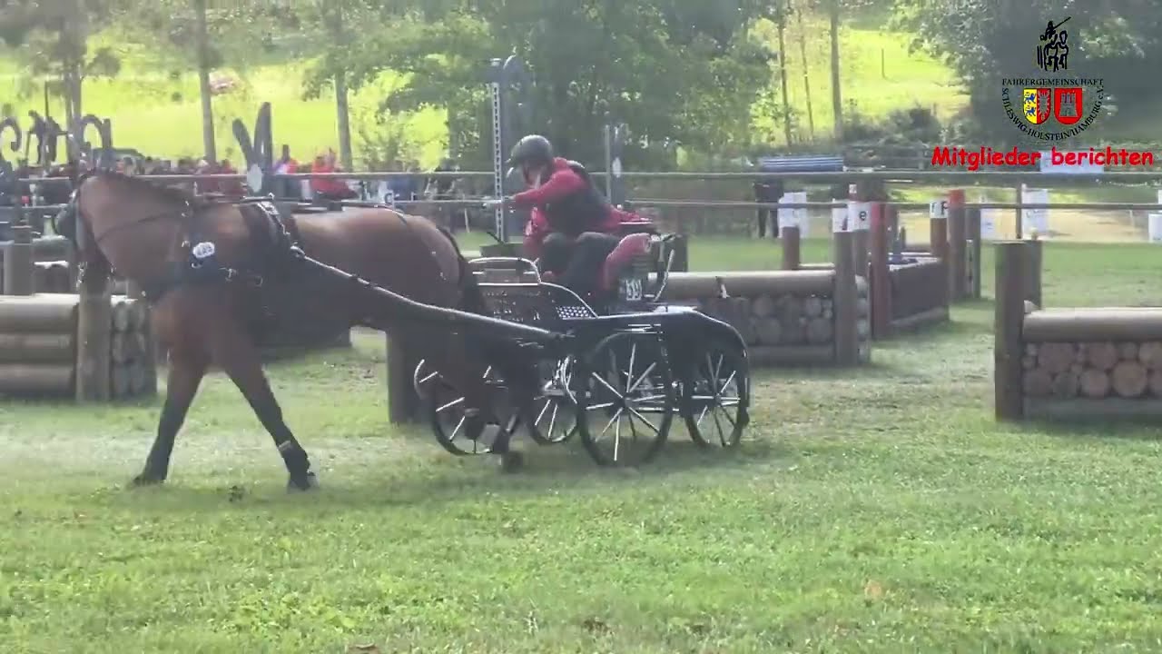Einspänner-WM 2022: Ulrike Schmidt im Marathon