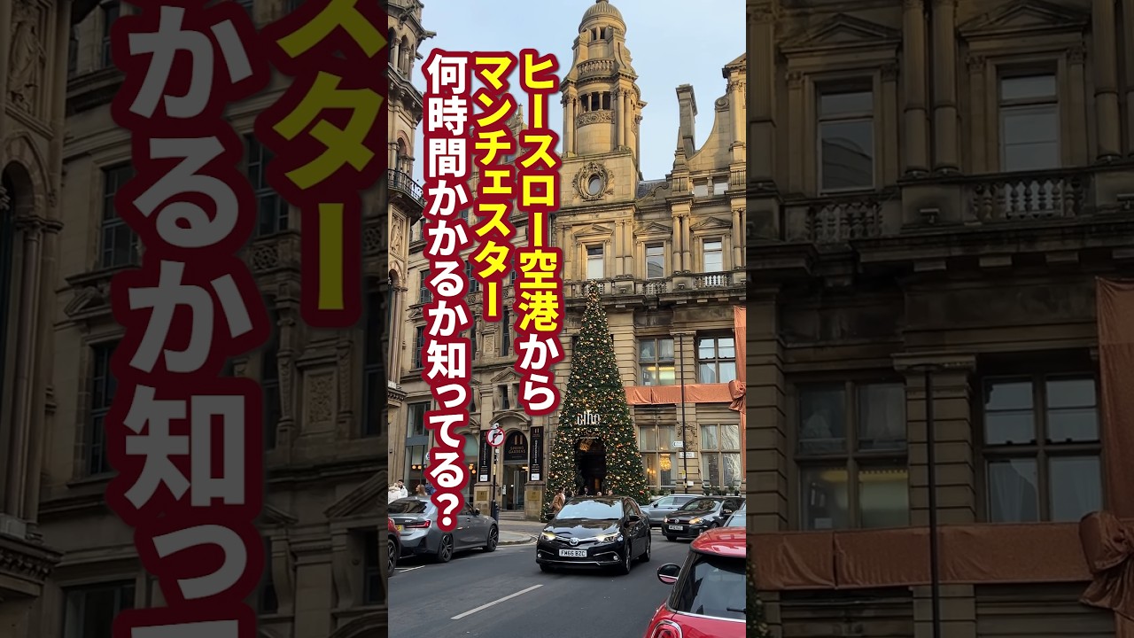【ロンドン在住25年】イギリスの距離感あなたは分かる? #shorts #イギリス #イギリスワーホリ