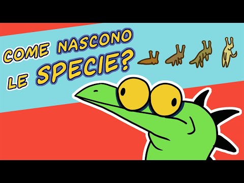 Video: Come viene generalmente definito il termine specie?