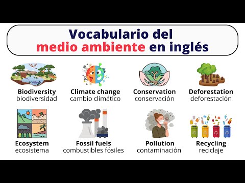 Vocabulario del medio