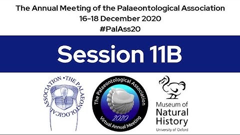 #PalAss20 Session 11B