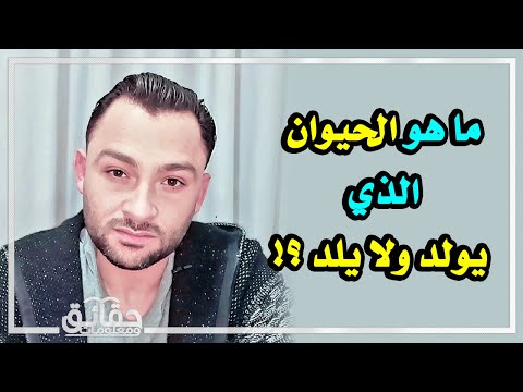ماهو الحيوان الذي يولد ولا يلد وما هو الشيء الذي ليس له بداية ولا نهاية