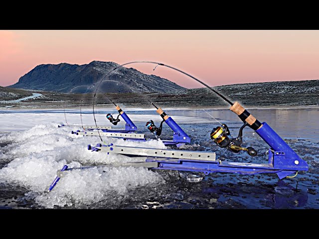 Raptor Ice Fry – Jaw Jacker Fishing