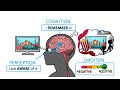 Why do I like that?...A simple question that leads to behavior, neuroscience, and art
