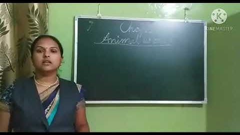 Dalauda Public School Class 5th Science Chapter 2 (Revision) video by Bindu Tiwari