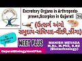 Excretory Organs in Arthropoda- prawn,Scorpion in Gujarati (ઉત્સર્ગ અંગો સમુદાય-સંધિપાદ-વીંછી,ઝીંગા)