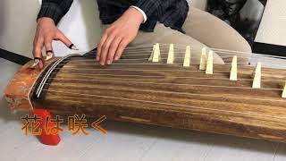 花は咲く【Japanese harp コディオス 箏 琴 生田流 初心者】