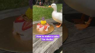 How to make a cake for pet ducks 🦆 #Ducks #Shorts #Pets #BackyardDucks #FarmAnimals #PetCake #Cake