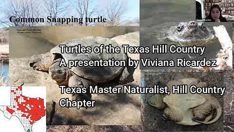 Turtles of the Texas Hill Country, a presentation ...