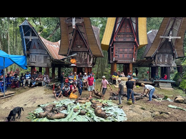 Persiapan pernikahan Ifanri Tonapa dan Riasni Pasang di Pangden To'salu kec Tikala Toraja utara class=