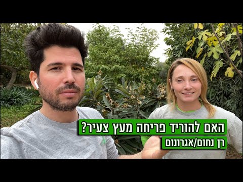 וִידֵאוֹ: האם השבע שנים גירוד?