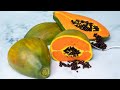 Giant Papaya Fruit Made Of CAKE! | How To Cake It with Yolanda Gampp