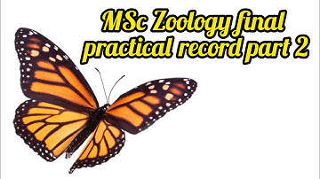 MSc Zoology previous practical record part 2