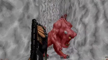 Zandronum: WyeSoft Servers: Requiem (Brutal Doom) Coop [1] [Raw Stream]