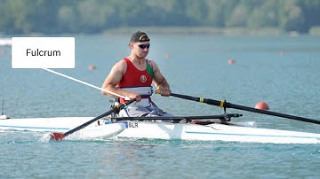 AQA GCSE PE Lever Systems