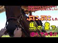 ぷにぷにした馬の鼻で遊んでみる【再生回数30万回超えました!!皆様ありがとうございます!!】