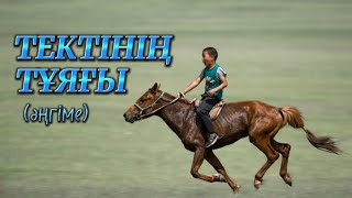 видео: Тектінің тұяғы #аудиокітап Автор:Абылай Мауданов #әңгімелер картинка: Тектінің тұяғы #аудиокітап Автор:Абылай Мауданов #әңгімелер