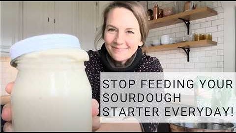 Easy Sourdough Starter 101: All About Discard, Hooch, Feeding, Is My Starter Ready to Bake With?