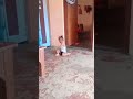 ❤️❤️❤️❤️❤️🕊️