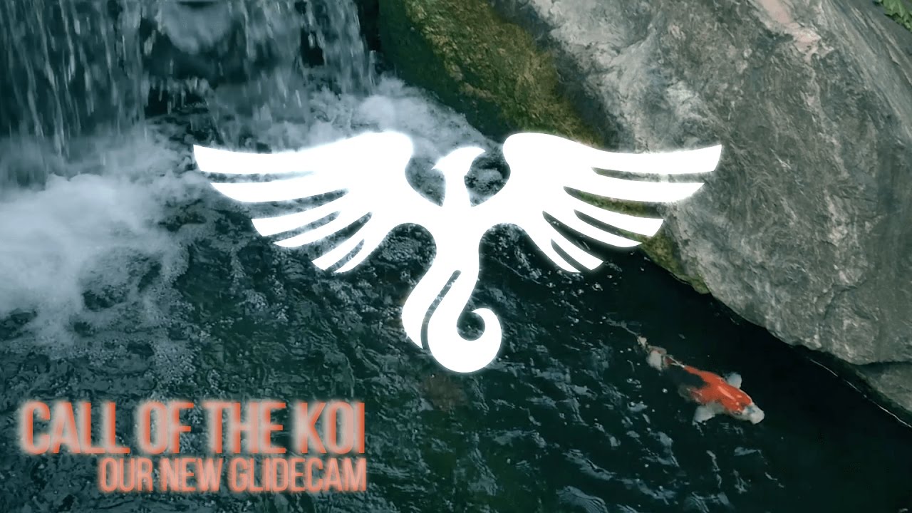 Call of the Koi: Our New Glidecam