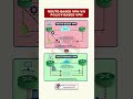 Route-Based VPN vs Policy-Based VPN | IPsec VPN Explained