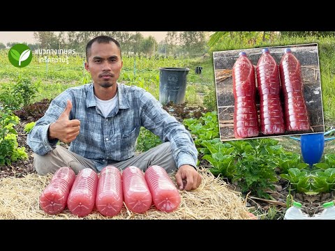 จุลินทรีย์สังเคราะห์แสง แบบมีหัวเชื้อ