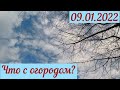 Станица Платнировская(09.01.2022). Что с огородом?