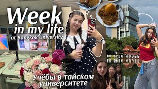 видео: НЕДЕЛЯ В УНИВЕРСИТЕТЕ📚Bangkok University || моя учебная неделя: лекции, жизнь в общаге, друзья картинка: НЕДЕЛЯ В УНИВЕРСИТЕТЕ📚Bangkok University || моя учебная неделя: лекции, жизнь в общаге, друзья