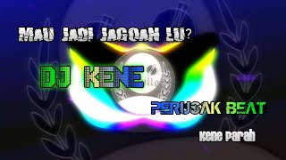 DJ Kene | mau jadi jagoan lu? | perusak sound
