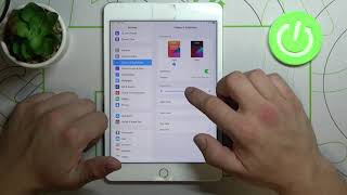 Get Access to Display Settings - Manage Display Modes on APPLE iPad Mini 4