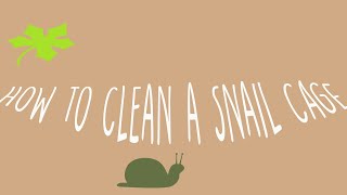 How to Clean a Snail House/How to clean a land cage.