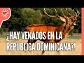 Animales que fueron traídos a la República Dominicana