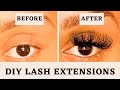 How to: DIY INDIVIDUAL LASH EXTENSIONS at Home (Beginner Friendly)