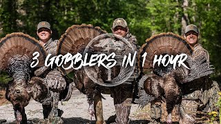 Turkey Hunting- 3 GOBBLERS in ONE hour!