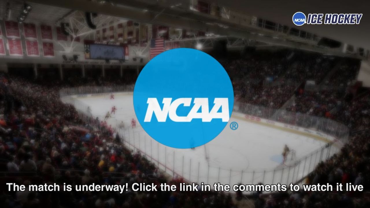 Wisconsin vs Minnesota [LIVE] – NCAA Women's Ice Hockey 2026