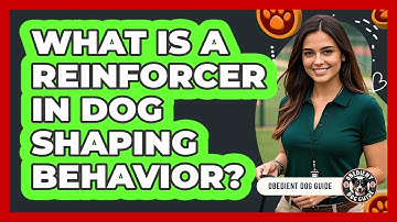 What Is A Reinforcer In Dog Shaping Behavior? - Obedient Dog Guide