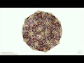 Conchas e estrelas do mar: Escher - parte 2 / Shells and starfish: Escher - part 2