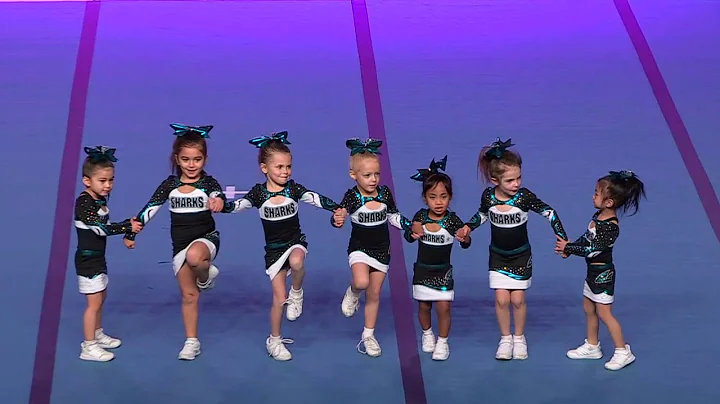 Cheer Sport Pocket Sharks   Tiny Prep 1