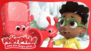 Morphle The Bus | Morphle and the Magic Pets | Moonbug Kids - Fun Stories and Colors