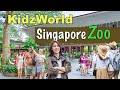 Singapore zoo tour  newly opened kidzworld at singapore zoo tour 