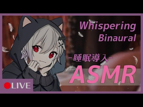 【ASMR雑談】吸血鬼ショタと深夜のおしゃべりしませんか？【近衛セナ/Vtuber】