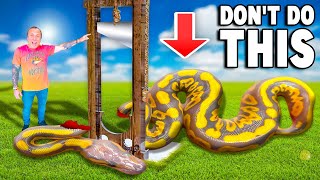 Don't EVER Do This To A Snake!