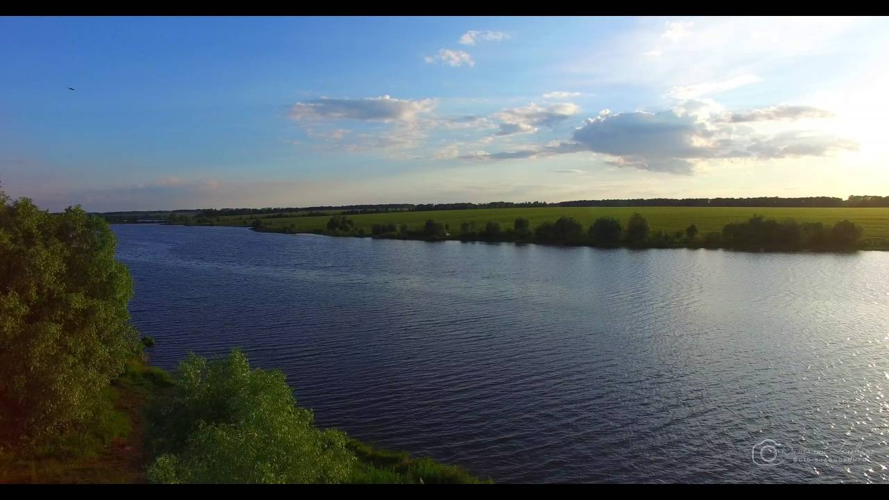 Оку старооскольское лесничество