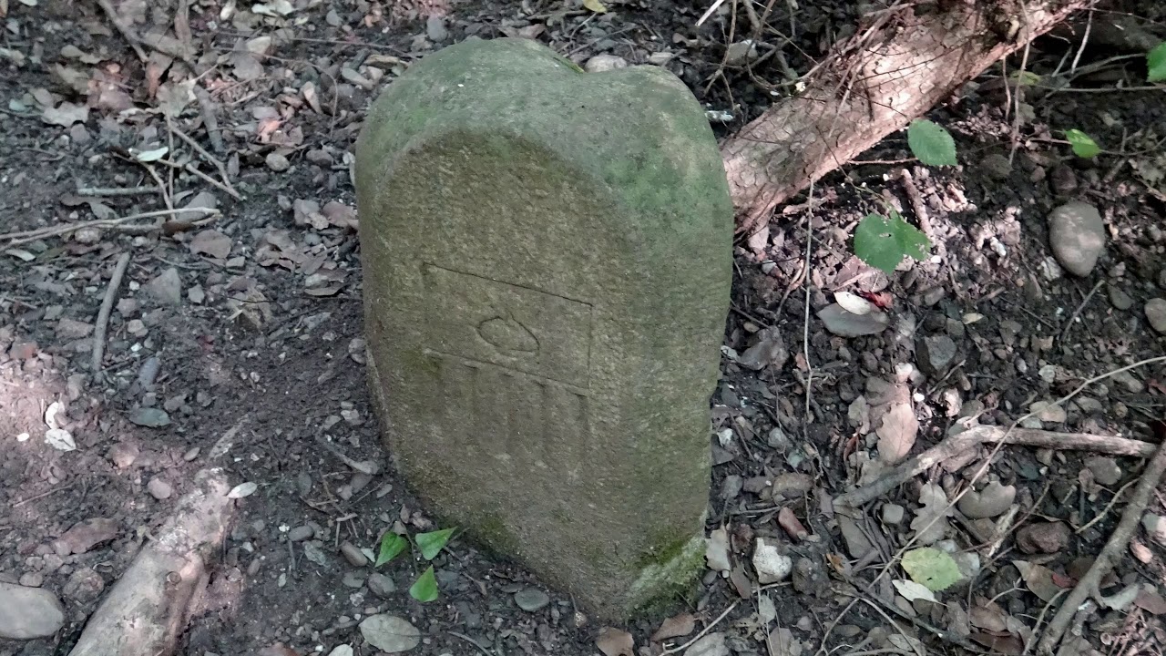 Torrent de Gotelles   Font de l'Argelaguet Sabadell