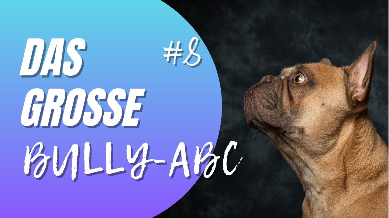Das große Bully-ABC Teil 8 - Verwöhnt, Wachsamkeit, EXtrawurst
