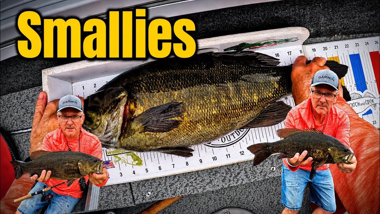 Big Bass Bonanza / Northern Ontario Smallmouth #smallmouthbass #smallmouth #bass