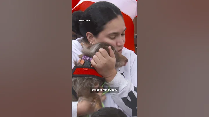 Missing dog returns home after five years