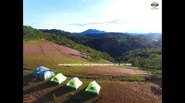 Cắm trại đồ cỏ hồng cỏ tuyết Đà Lạt