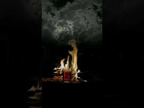 غيب روح ولا تعود غريب ال مخلص